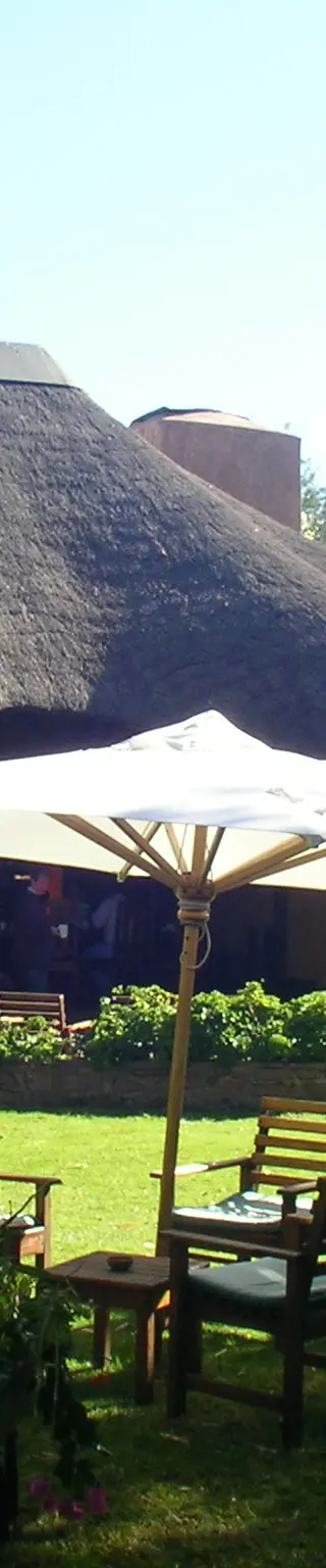 In der Okonjima Lodge Raubkatzen aus nächster Nähe erleben